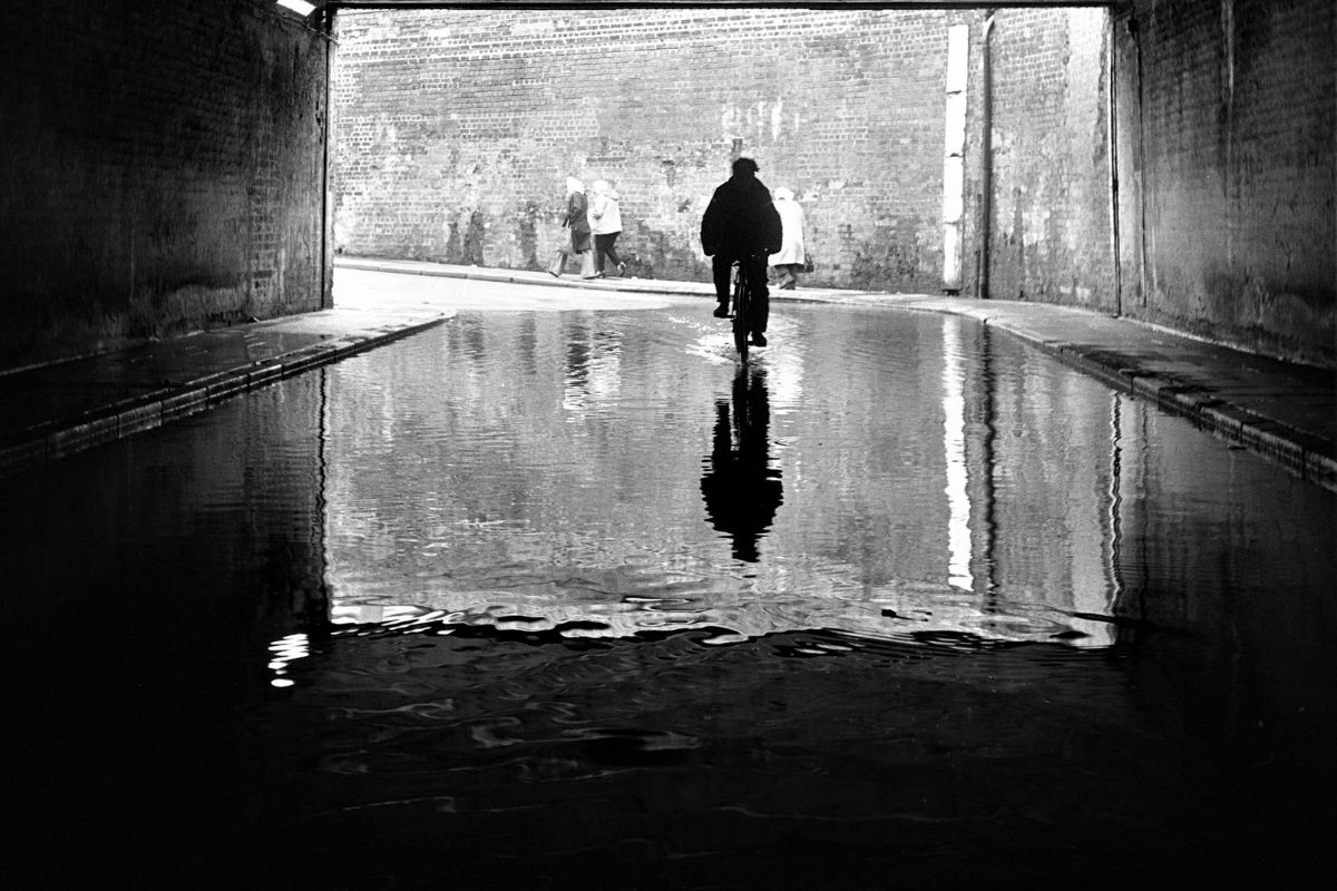 Hull s Fish Dock The Wet Side Fishing News