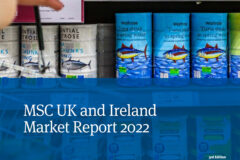MSC market report ‘showcases progress’