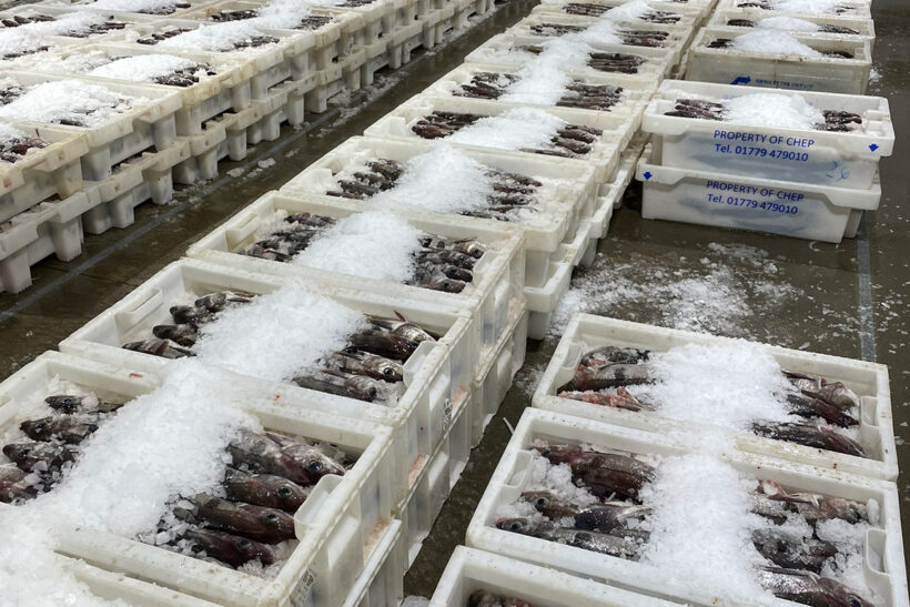 Norway cements key role in supply of UK seafood