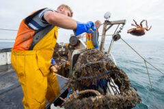 Blue Marine Foundation: Perspectives on crustacean potting