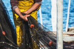 Inquiry into foreign fishing crew welfare