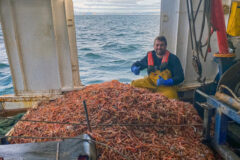 A Day In The Life Of: Dunbar prawn skipper Rowan Davies