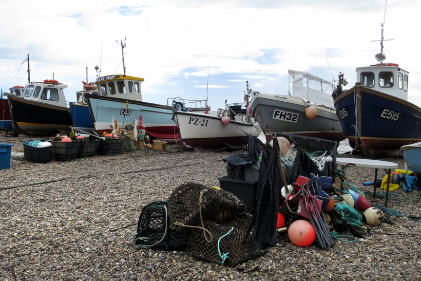 Lyme Bay seafood trail launched