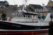 Channel fishers urged to report French bass trawlers