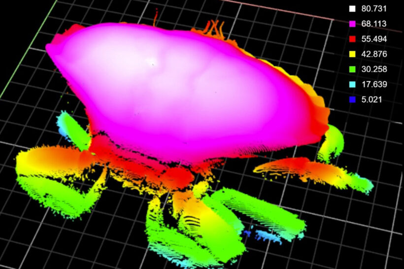 Measuring up to crab and lobster data needs