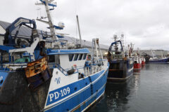 UK fishing industry prices up but profits down in 2022