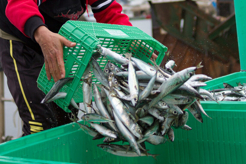 Seafish revises proposed levy changes