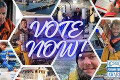 Fishing News Awards 2024: Voting open now!