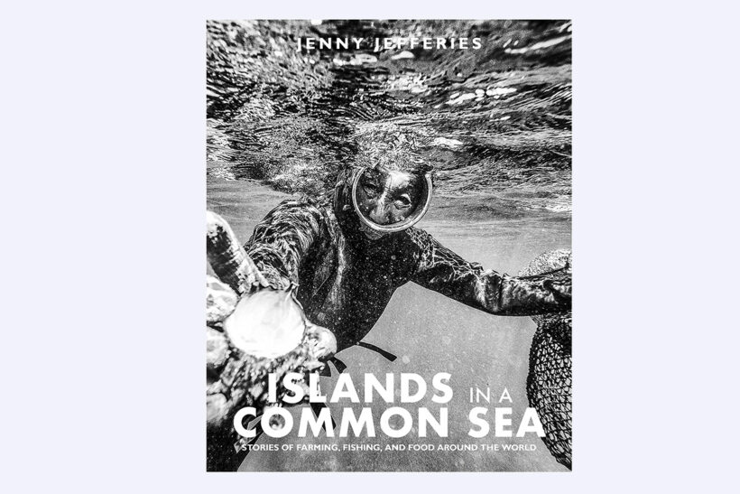 Islands in a Common Sea: Exclusive extract from new book