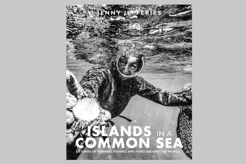Win Islands in a Common Sea by Jenny Jefferies