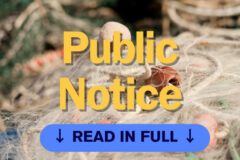 Issue specific hearings public notice: Outer Dowsing Offshore Wind