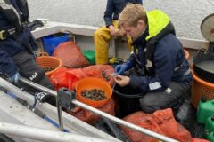 Poole clam fisher fined £9k