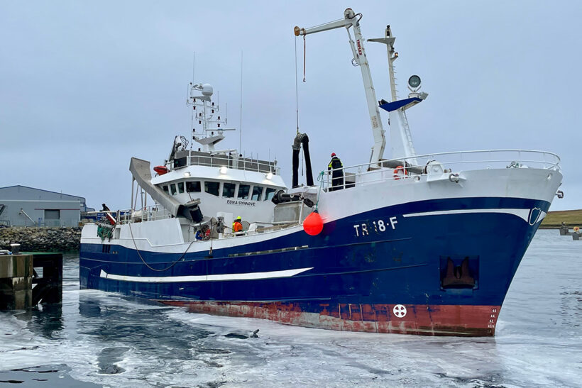 Scientists discover 42% drop in mackerel biomass