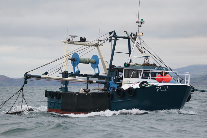 Steady start to Isle of Man scallop season