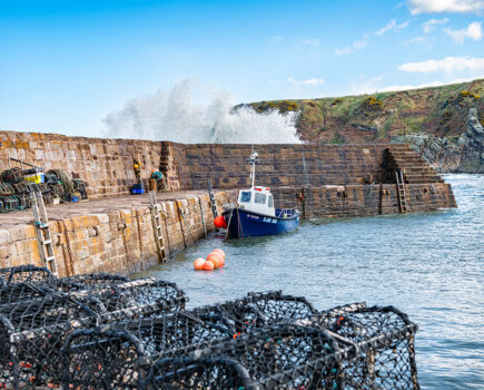 Scottish seafood cluster moves a step closer