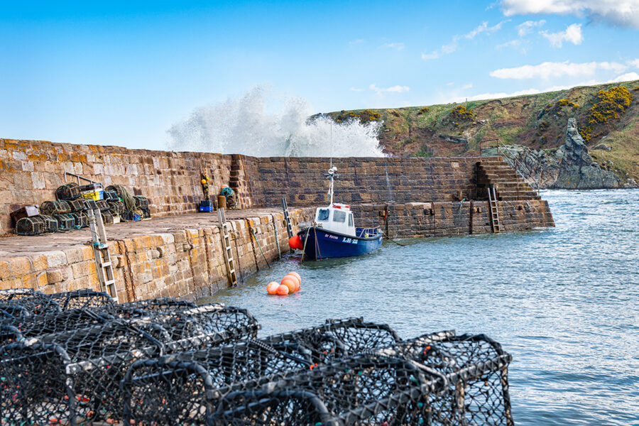 Scottish seafood cluster moves a step closer