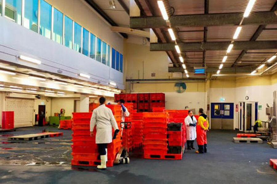 ‘Not viable’: No new Plymouth auction