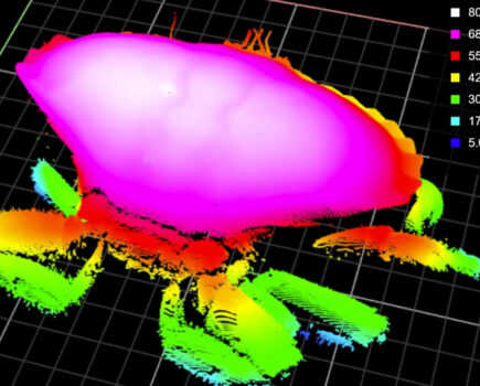 Measuring up to crab and lobster data needs