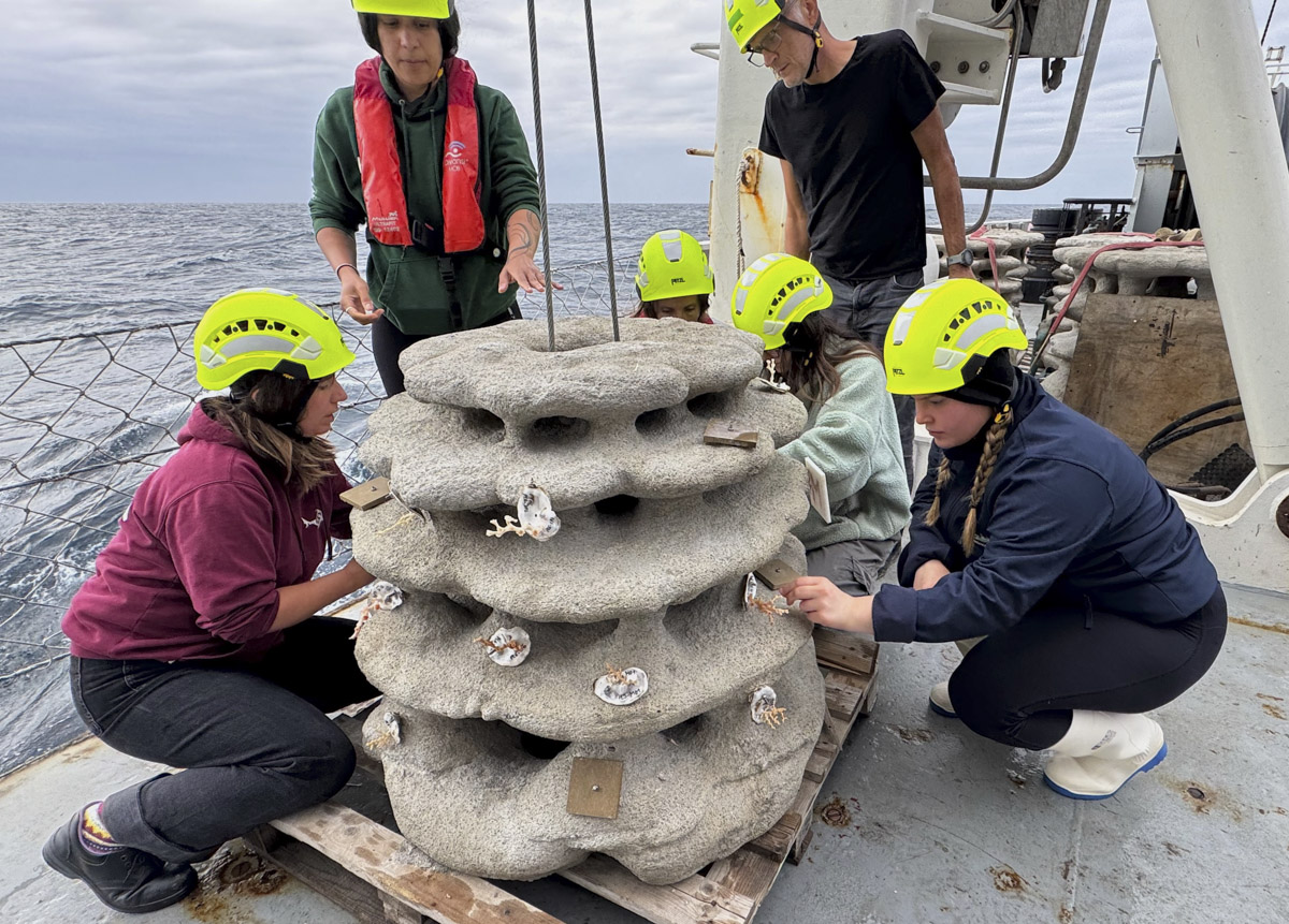 3D-printed reefs deployed to help restore deep-sea coral - Fishing News