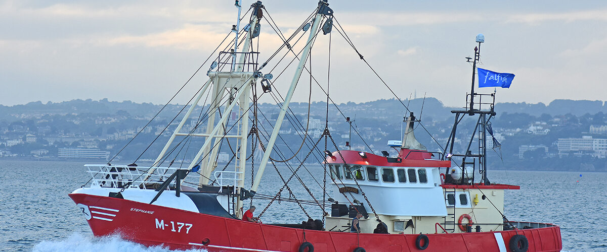 Boat of the Week: Stephanie M 177