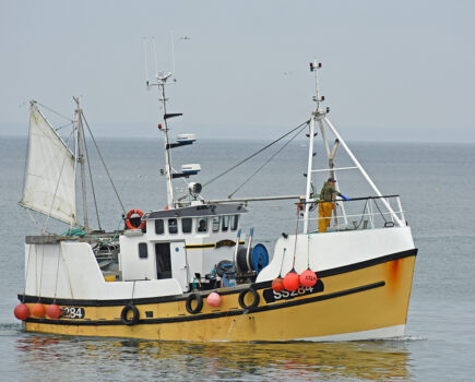 Boat of the Week: Ygrainne SS 284