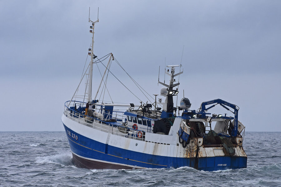 Boat of the Week: Courage SH 170