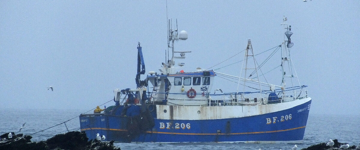 Boat of the Week: Sardonyx II BF 206