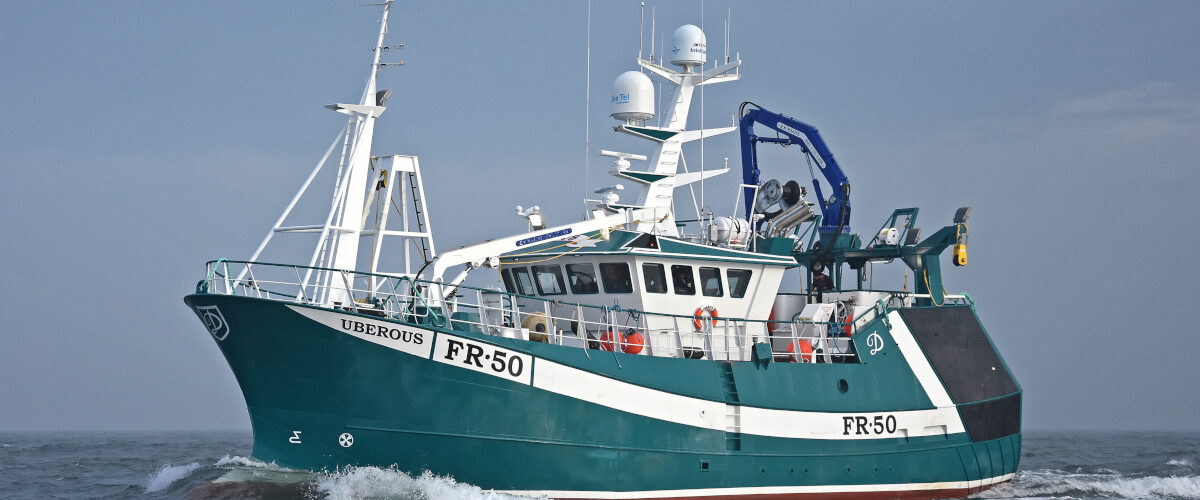 Boat of the Week: Uberous FR 50