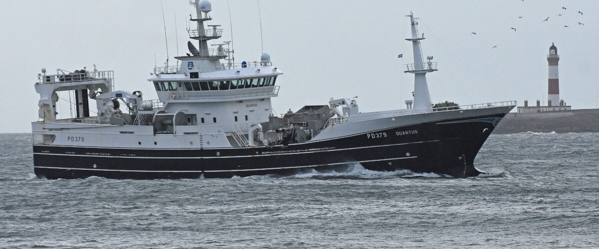 Boat of the Week: Quantus PD 379