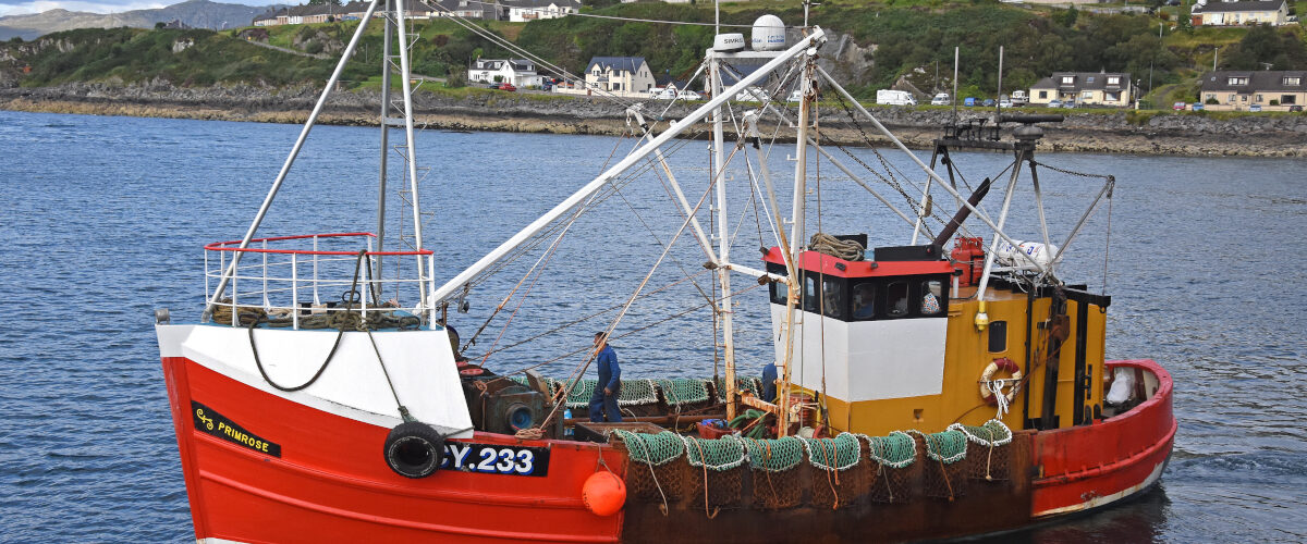 Boat of the Week: Primrose CY 233