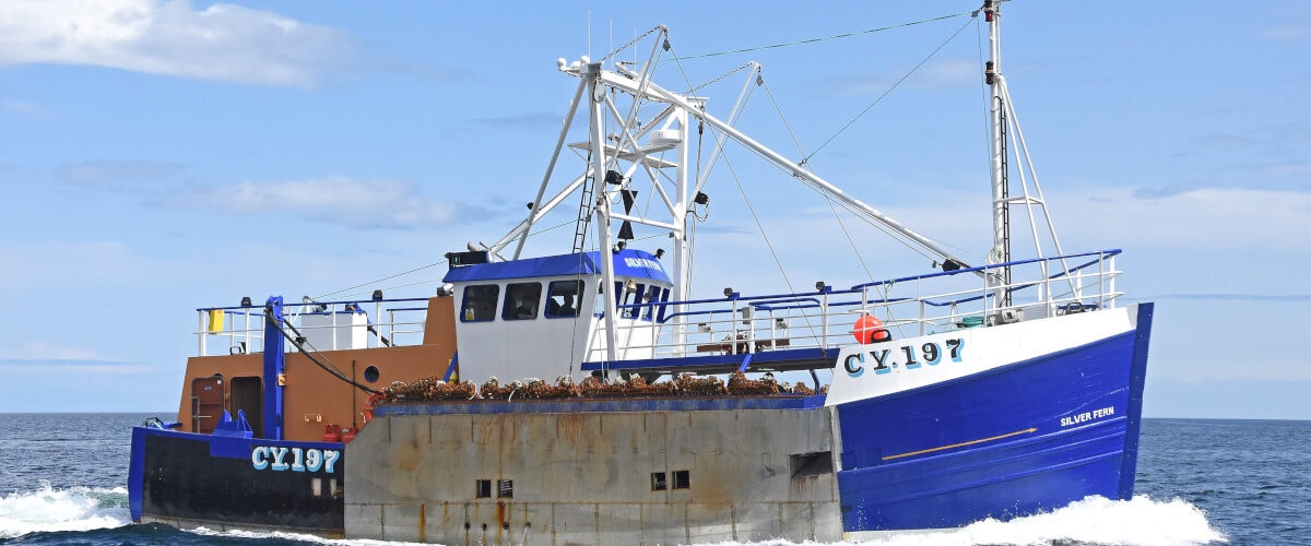 Boat of the Week: Silver Fern CY 197