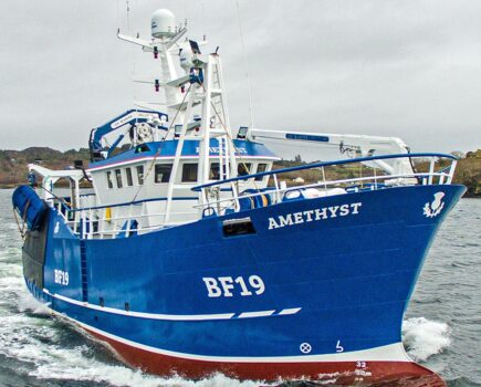 Boat Of The Week: Amethyst BF 19