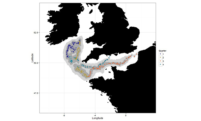 Bass tagging, Dungeness