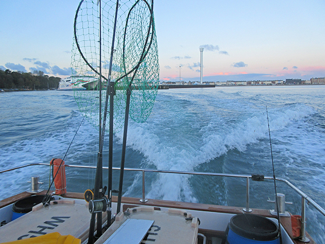 Bass tagging, CEFAS