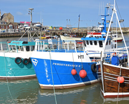 Search for new lobster markets