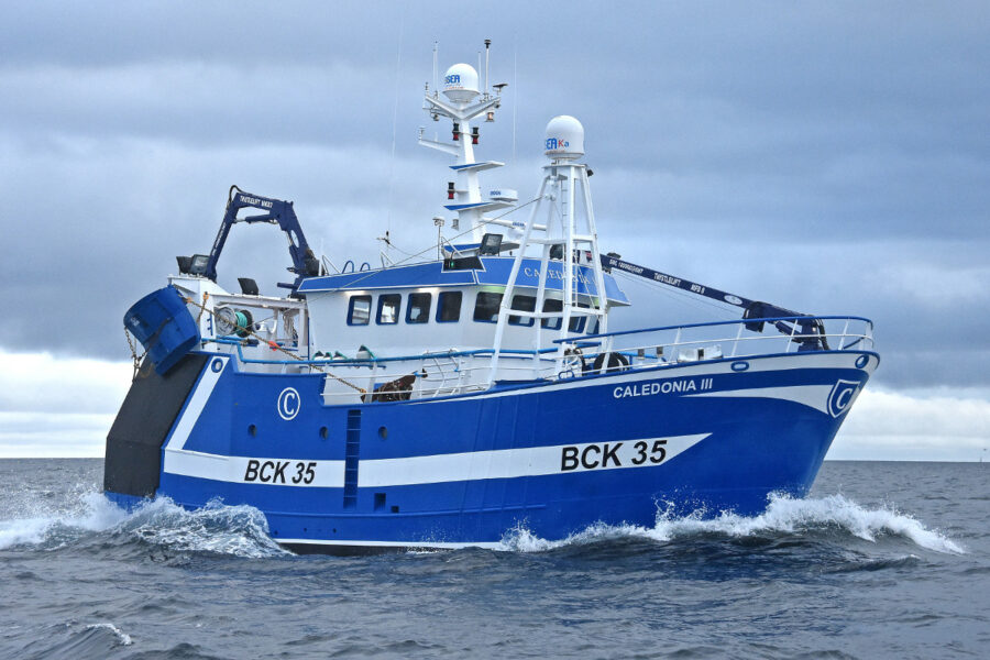 Caledonia III