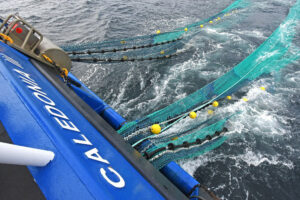 Caledonia III shooting away the 180ft letterbox-style twin-rig nets made by Faithlie Trawl…