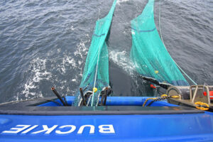 … for the first time, on fishing trials in the Moray Firth.