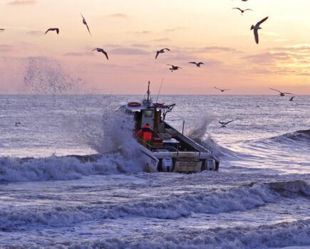 Cromer crabs – feeling the pinch