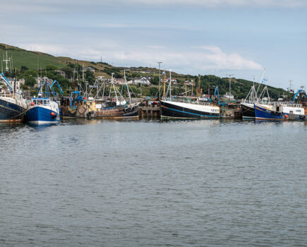 CFA slams Clyde cod closure consultation