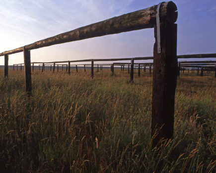 Consultation on historic drying racks in Lowestoft