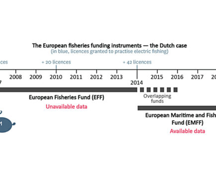 Dutch and EU ‘gave hidden subsidies to pulse beam fleet’