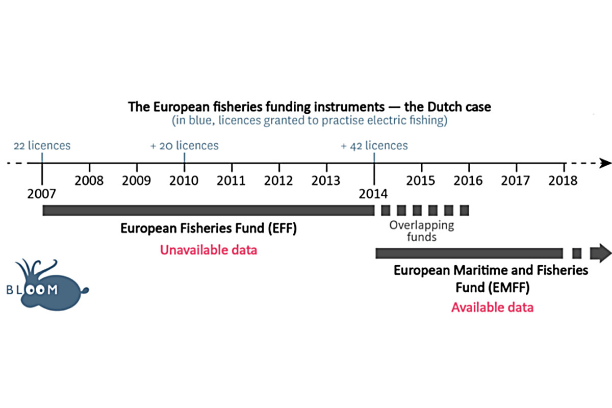 Dutch and EU ‘gave hidden subsidies to pulse beam fleet’ - Fishing News
