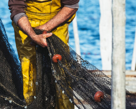 Inquiry into foreign fishing crew welfare