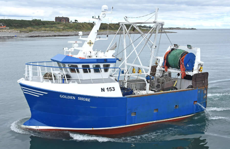 New boat: Golden Shore N 153