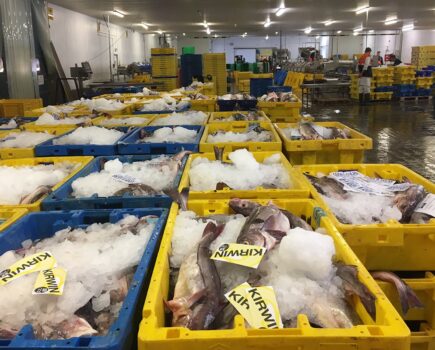 Lack of cod and larger haddock fuel record prices on Grimsby market
