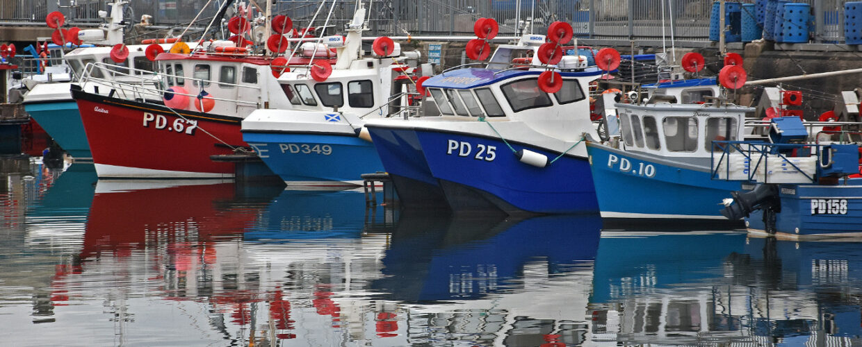 Line-caught inshore mackerel fishing at Peterhead