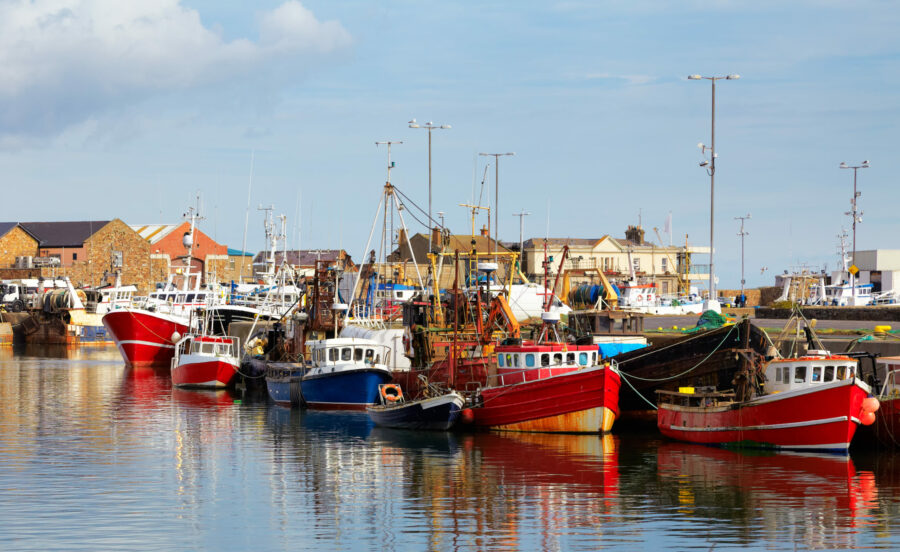 Plans to amend NI Protocol ring alarm bells on exports