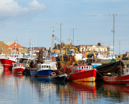 Irish fishing ports: resilience in the face of change