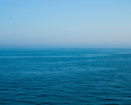 The bottom line: is a trawling ban the answer for MPAs?